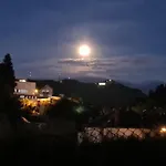Lelia Brașov